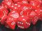 Dice - Opaque: Poly Set red With white (Set of 7) by Chessex Manufacturing 