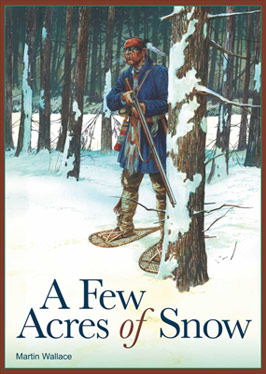 A Few Acres Of Snow by Treefrog Games
