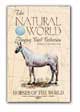 Horses of the Natural World Playing Cards by US Games Systems, Inc