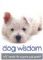 Dog Wisdom Cards by US Games Systems, Inc