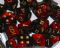 Dice - Gemini Polyhedral Black-Red/gold (7-Die Set) by Chessex Manufacturing