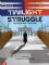 Twilight Struggle Deluxe Edition - 2011 Reprint by GMT Games